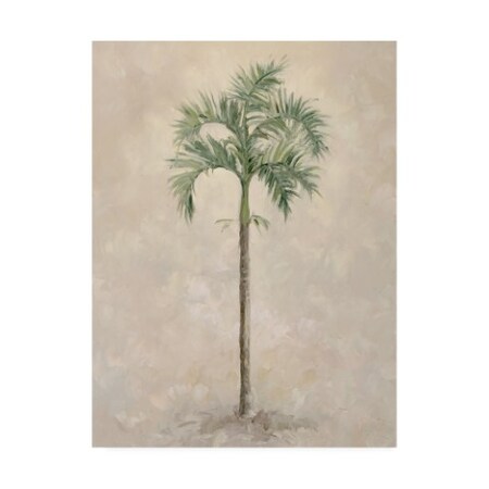 Debra Lake 'Palm Tree 4' Canvas Art,24x32